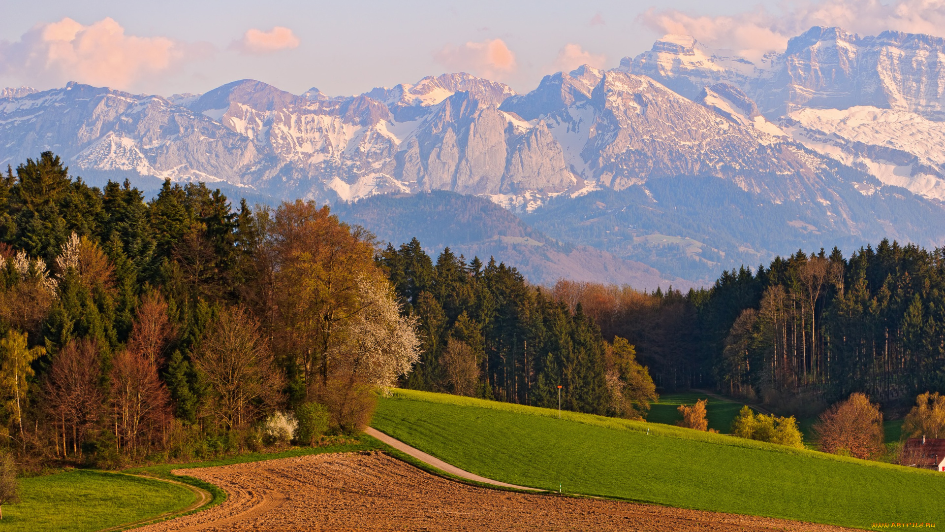 природа, горы, деревья, поле, швейцария, switzerland