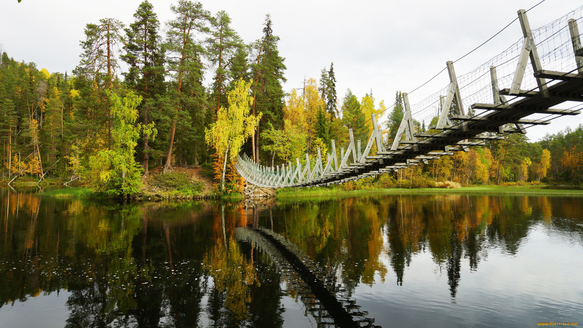 природа, реки, озера, река, лес