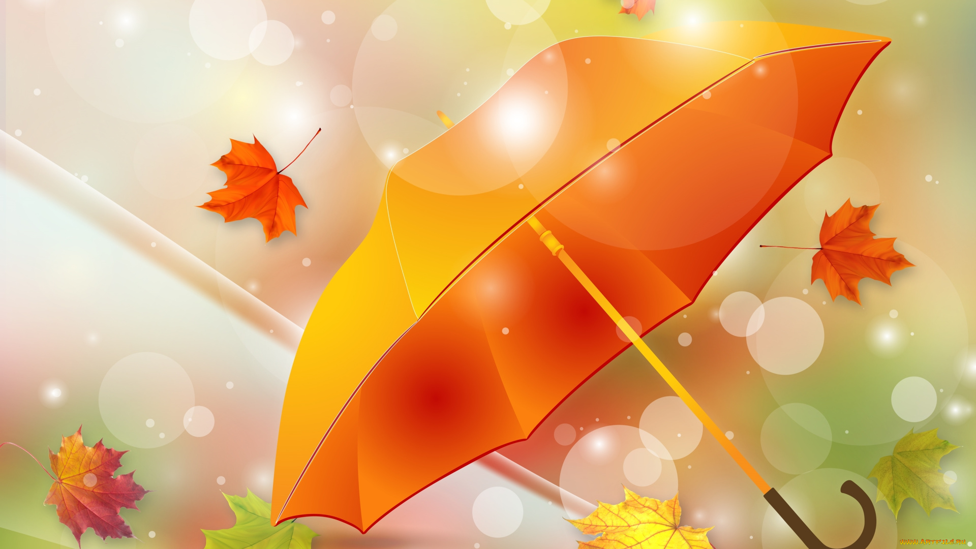 векторная, графика, природа, , nature, зонтик, листья, осень