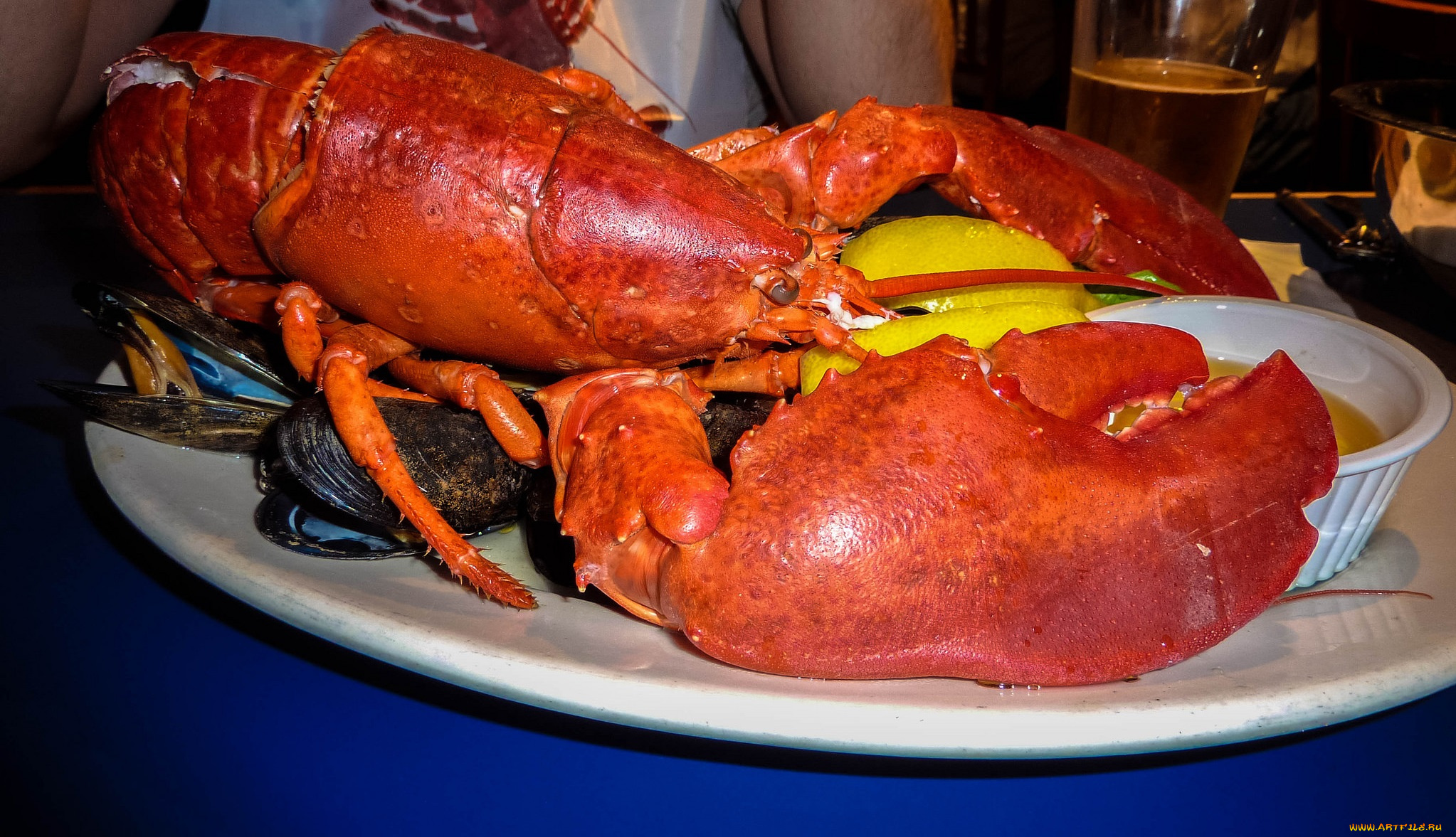 boston, lobster, еда, рыба, , морепродукты, , суши, , роллы, лобстер