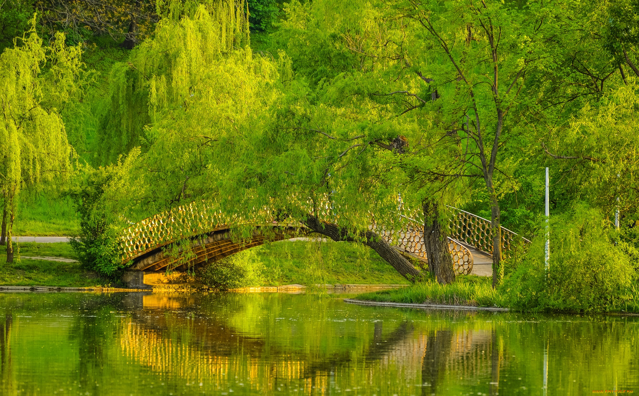 природа, парк, лес, река, мост