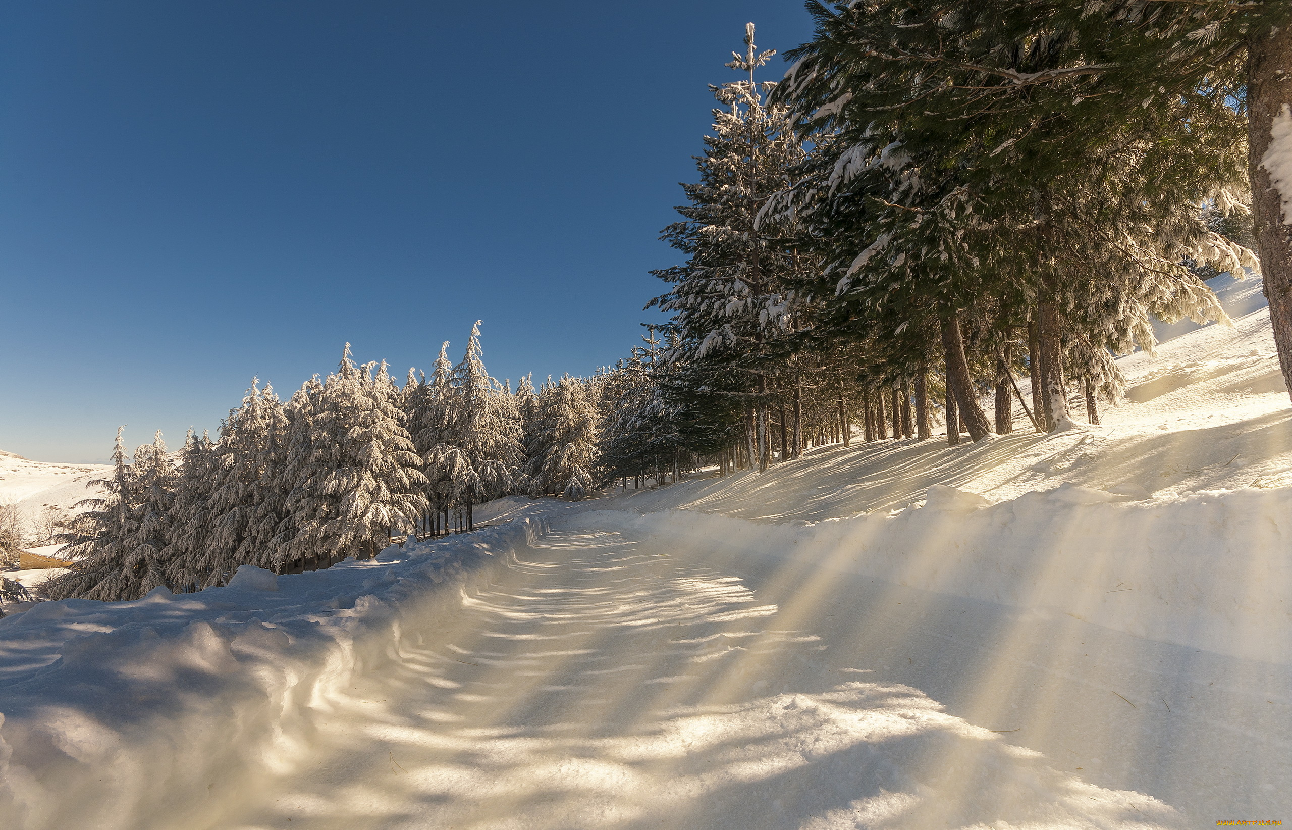 природа, зима, утро, снег, пейзаж, дорога