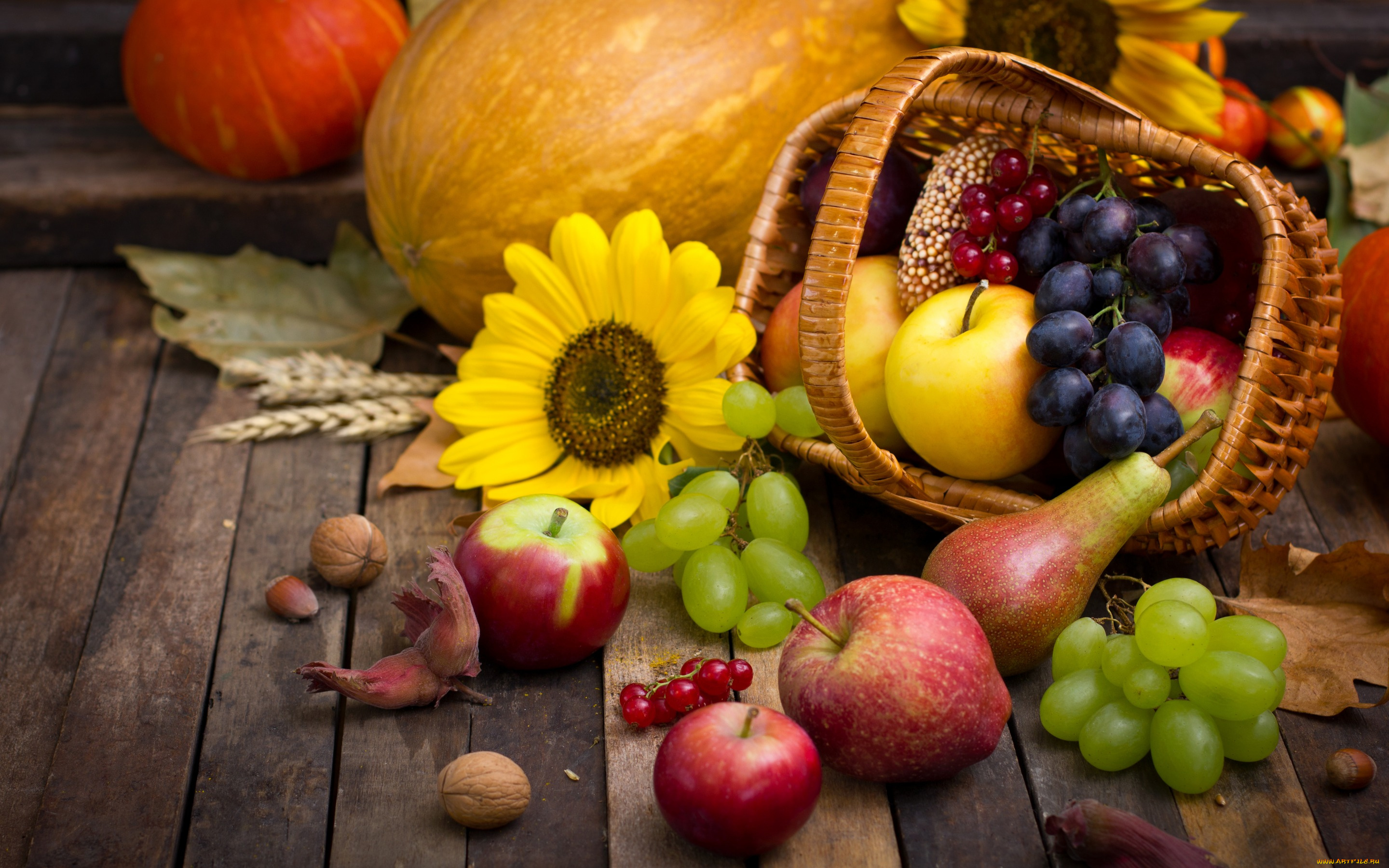 еда, фрукты, и, овощи, вместе, autumn, harvest, still, life, fruits, leaves, pumpkin, nuts, осень, дистья, урожай, тыква