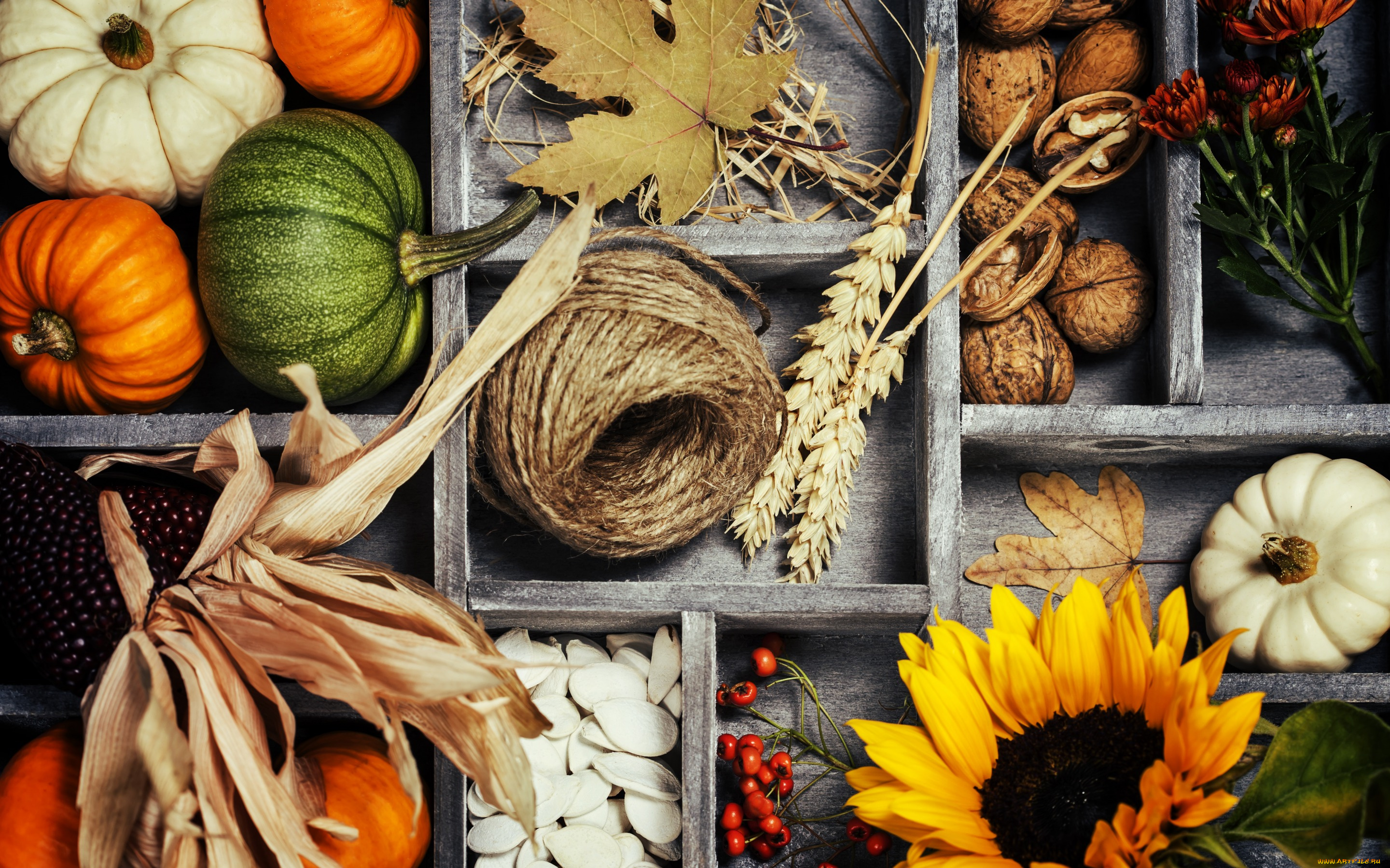 еда, разное, harvest, урожай, тыква, овощи, autumn, листья, осень, still, life, vegetables, корзина