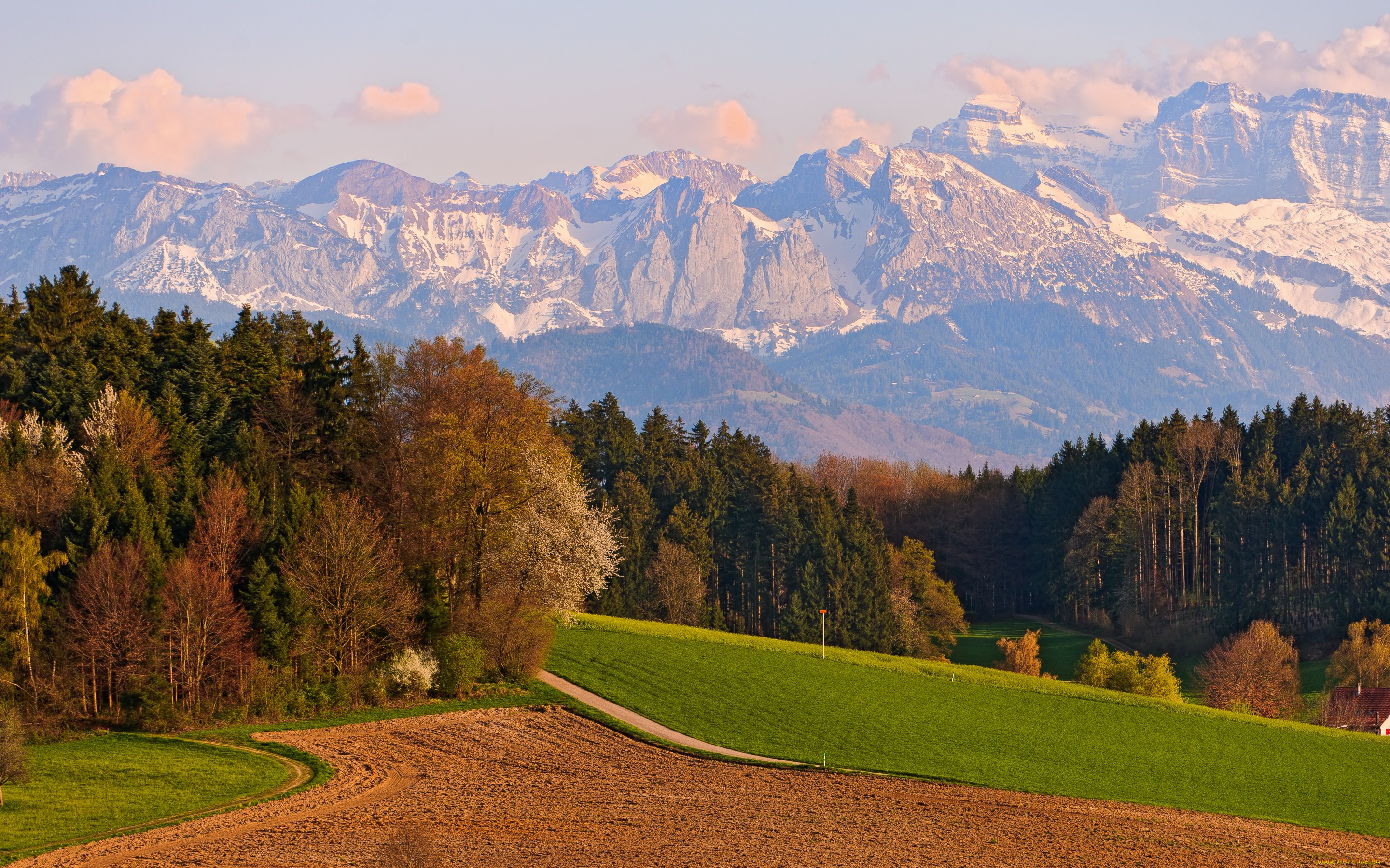 природа, горы, деревья, поле, швейцария, switzerland