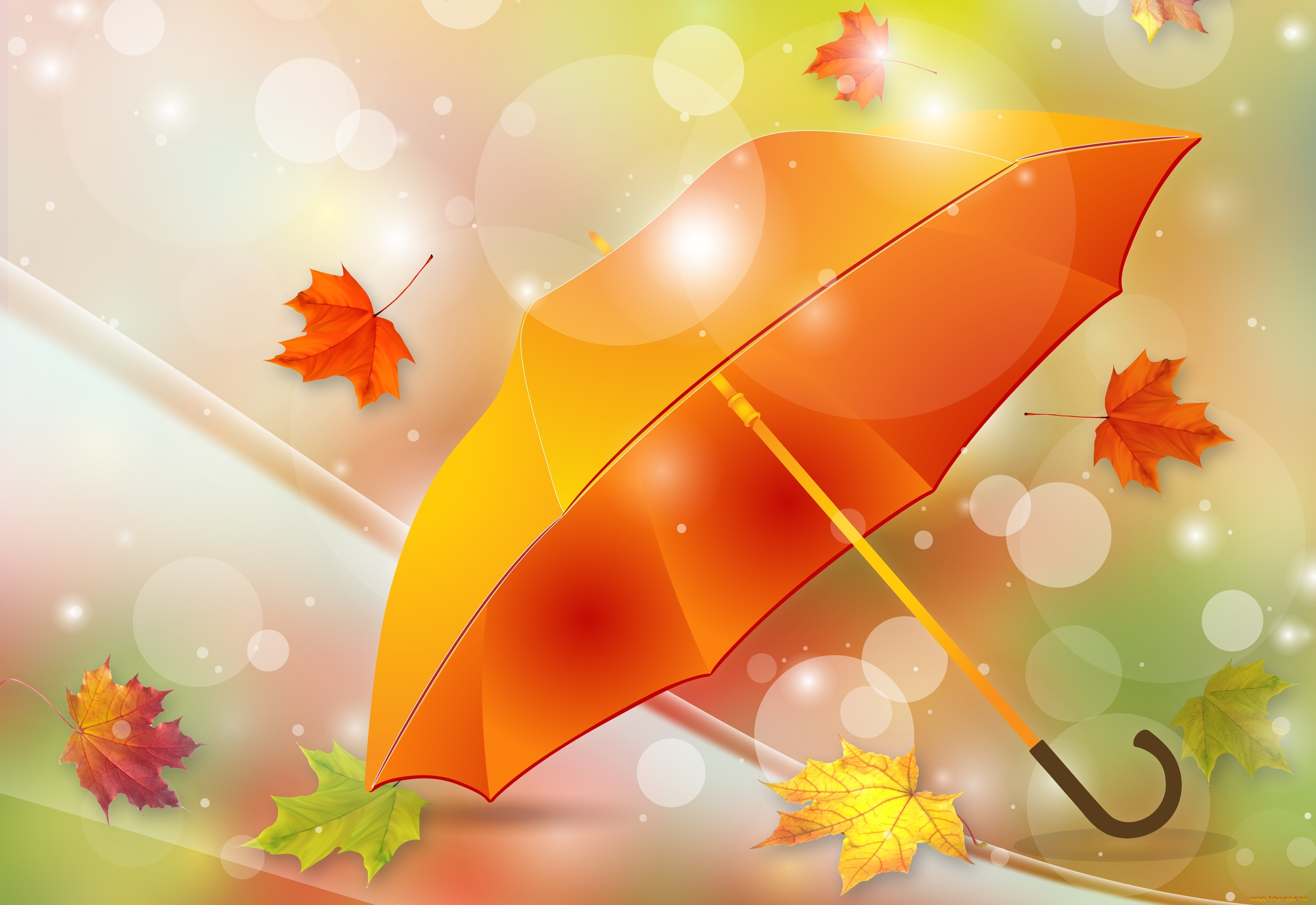 векторная, графика, природа, , nature, зонтик, листья, осень
