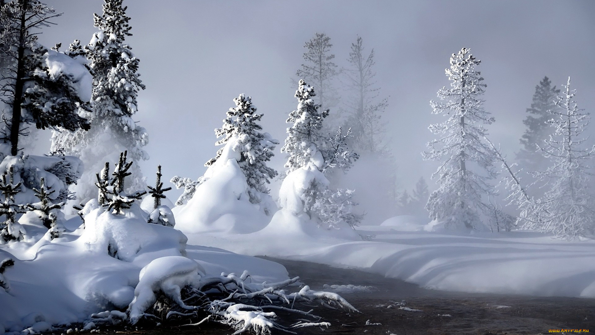 природа, зима, снег, деревья, сугробы