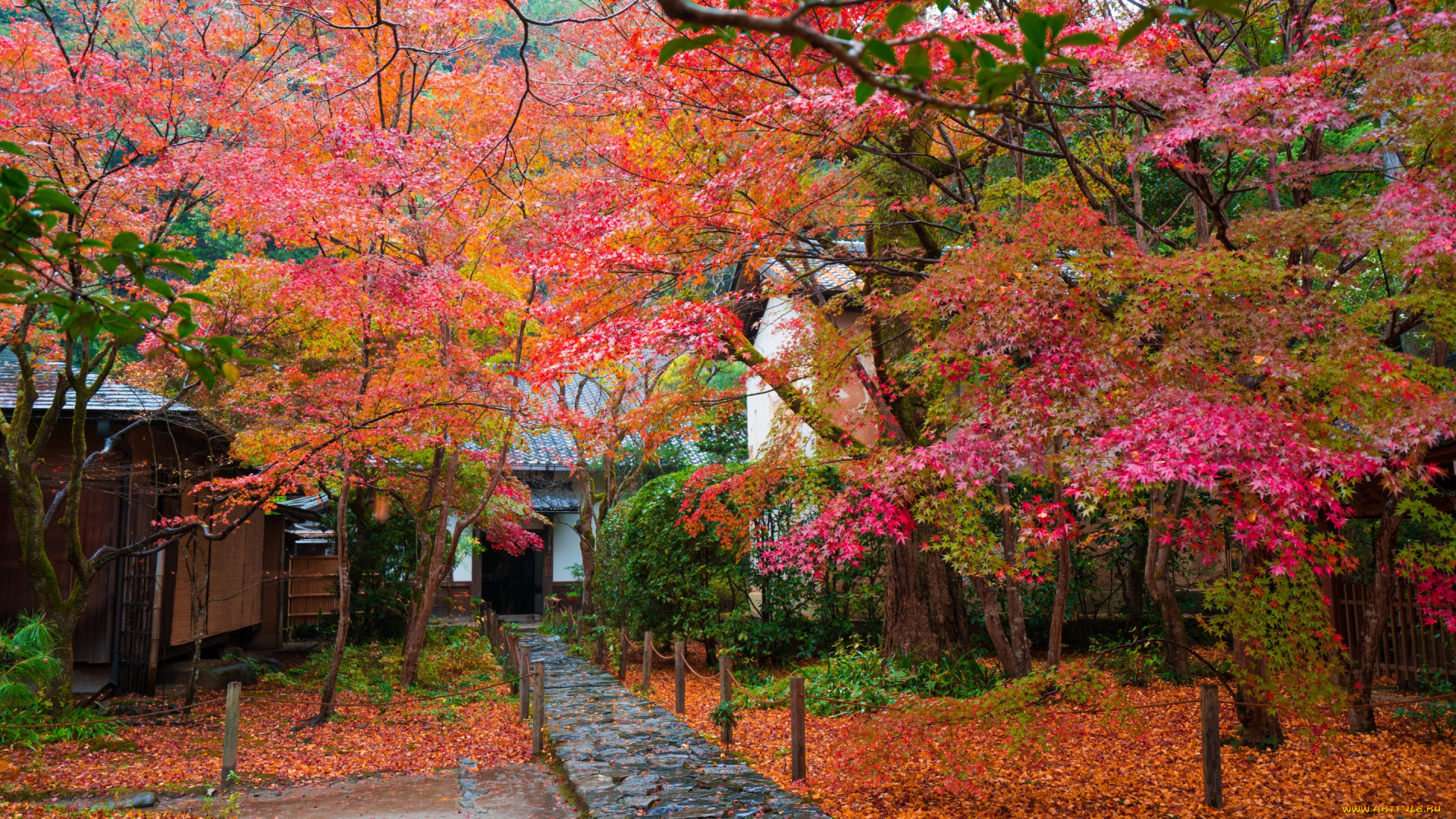 города, -, пейзажи, сад, дом, осень, деревья, дорожка, Япония, листья