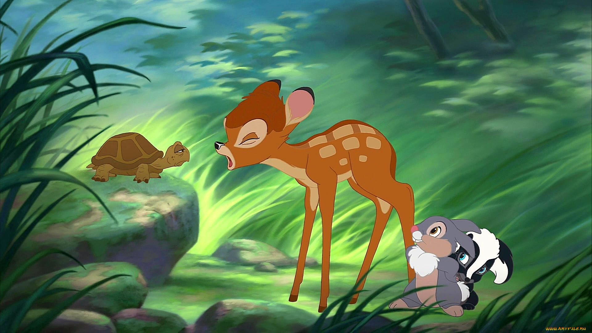 мультфильмы, bambi, 2, камень, растения, скунс, заяц, олененок, черепаха