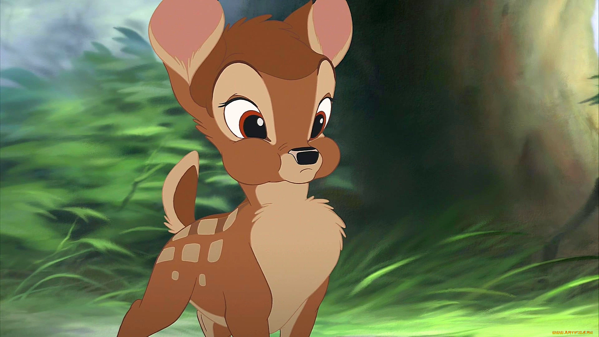 мультфильмы, bambi, 2, растения, олененок