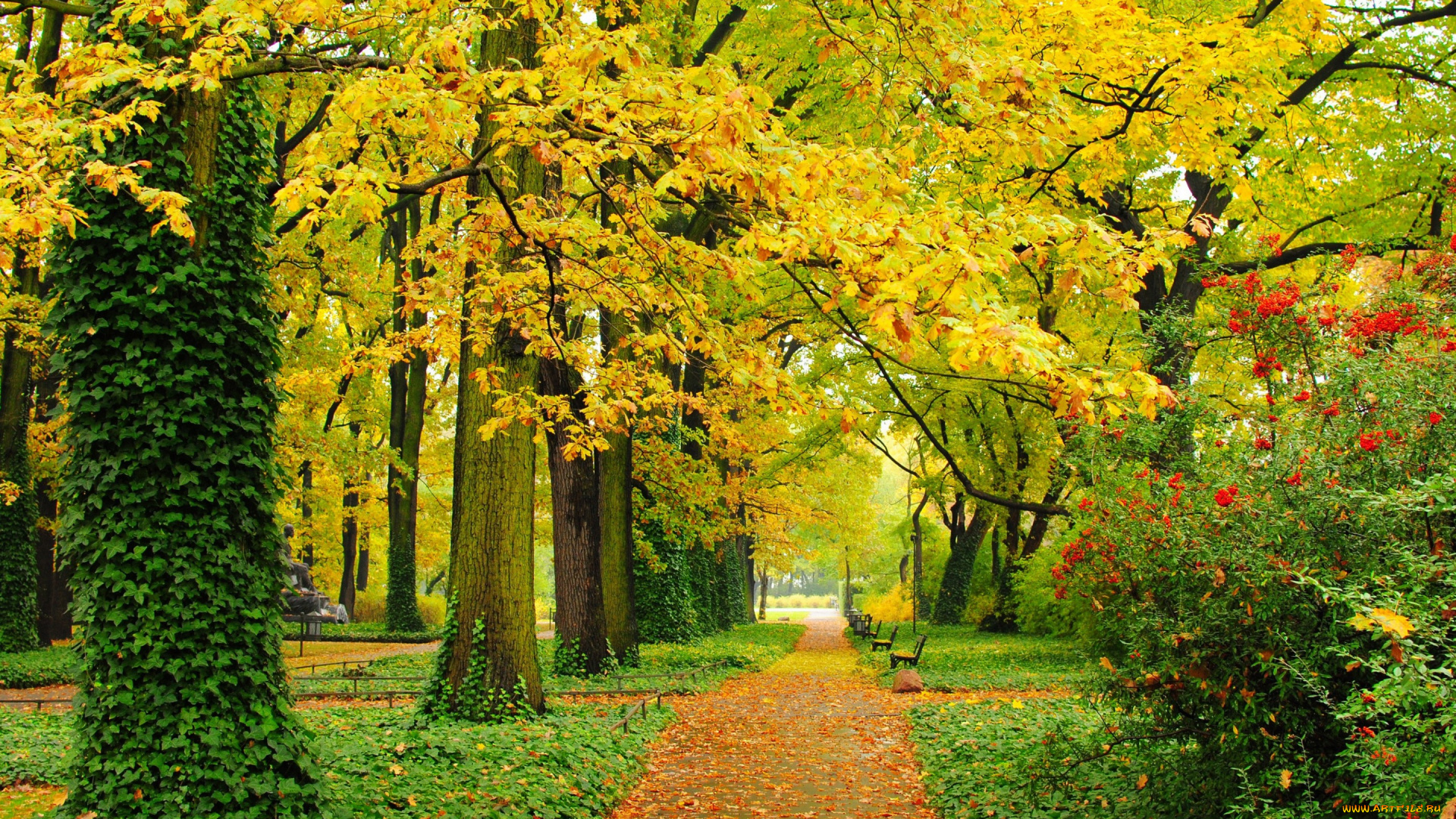 природа, дороги, листва, скамейки, листья, деревья, парк, осень, зеленые, аллея, желтые, дорожки