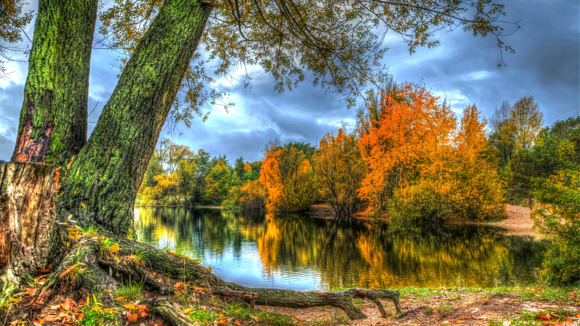 природа, реки, озера, листья, лес, деревья, берег, река, осень