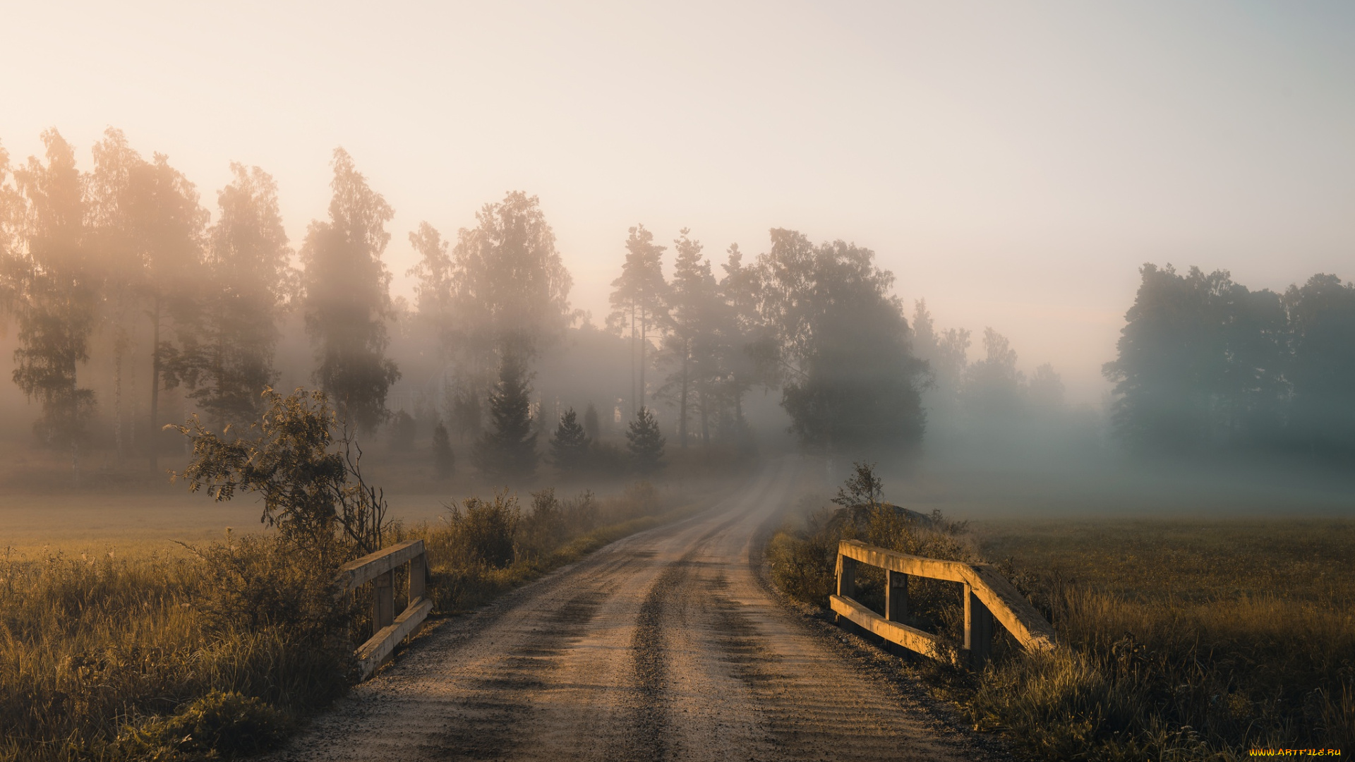 природа, дороги, дорога, осень, туман, утро