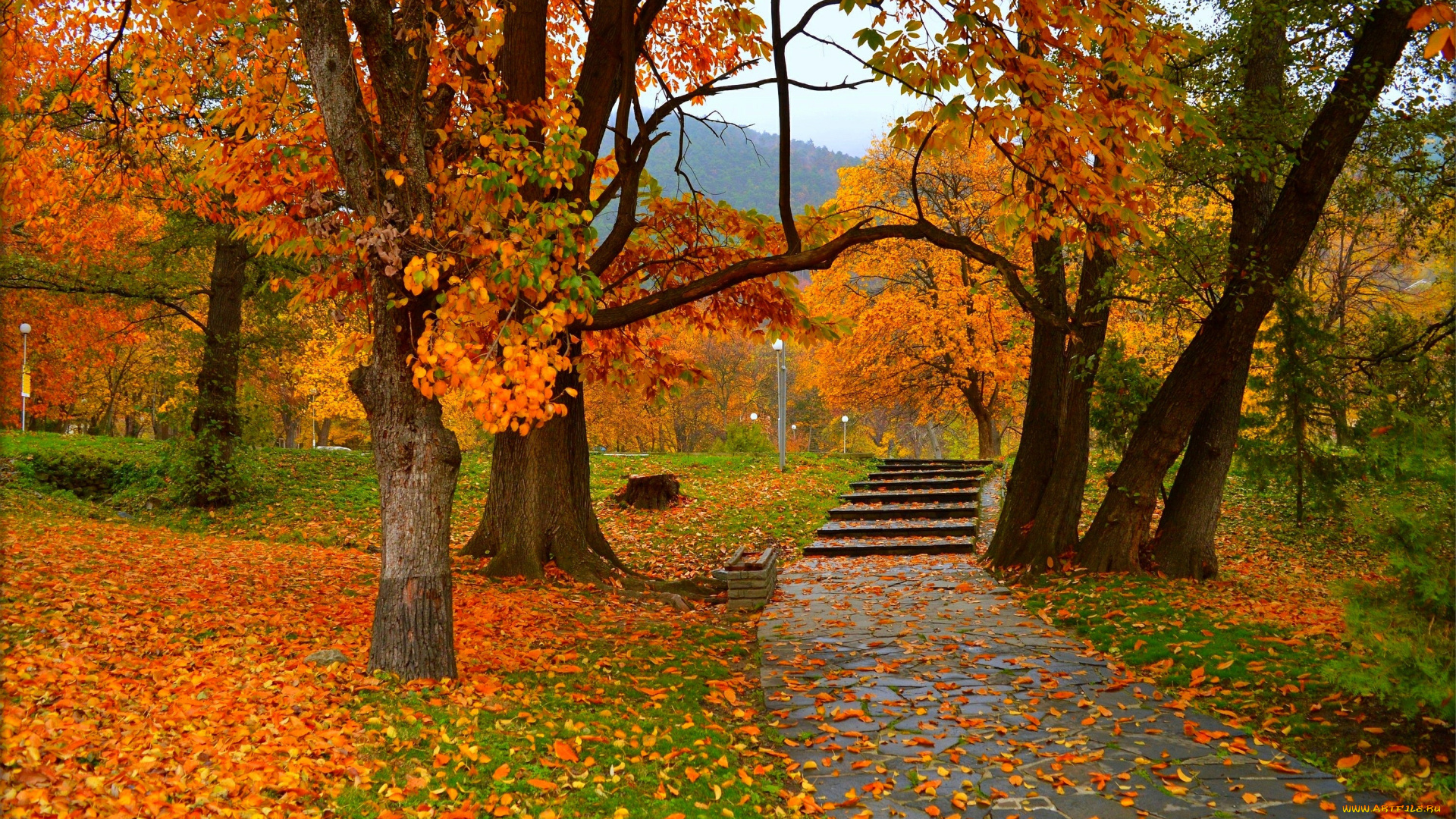 природа, парк, trees, colors, autumn, park, листва, fall, деревья, осень, leaves, листопад