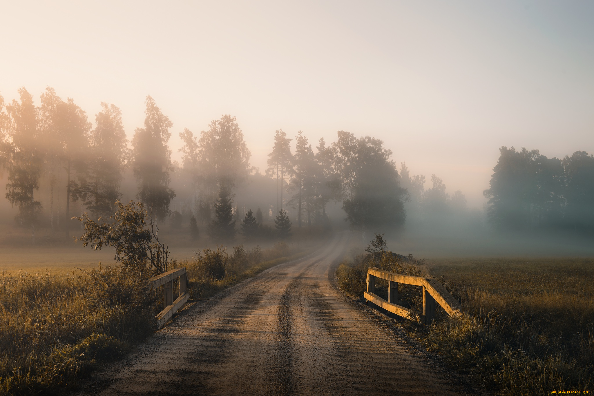 природа, дороги, дорога, осень, туман, утро