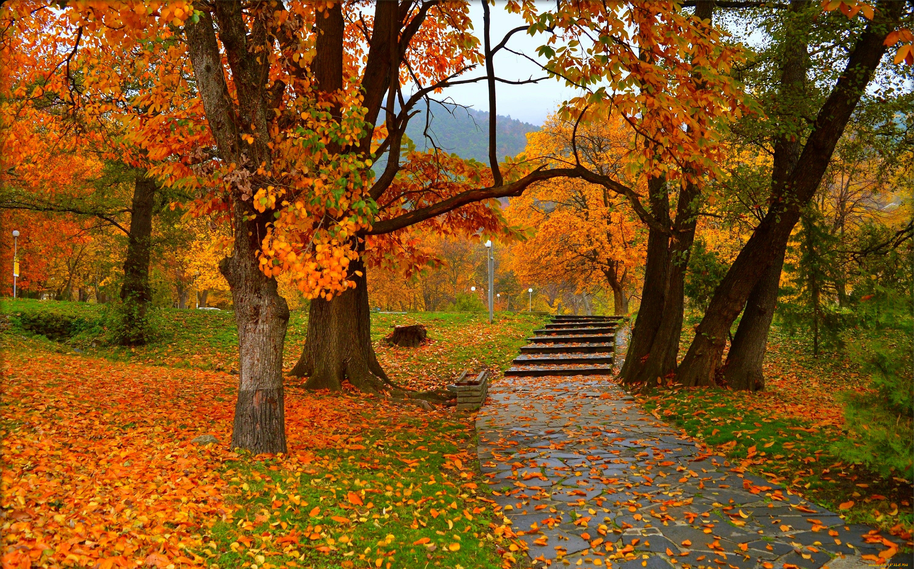 природа, парк, trees, colors, autumn, park, листва, fall, деревья, осень, leaves, листопад