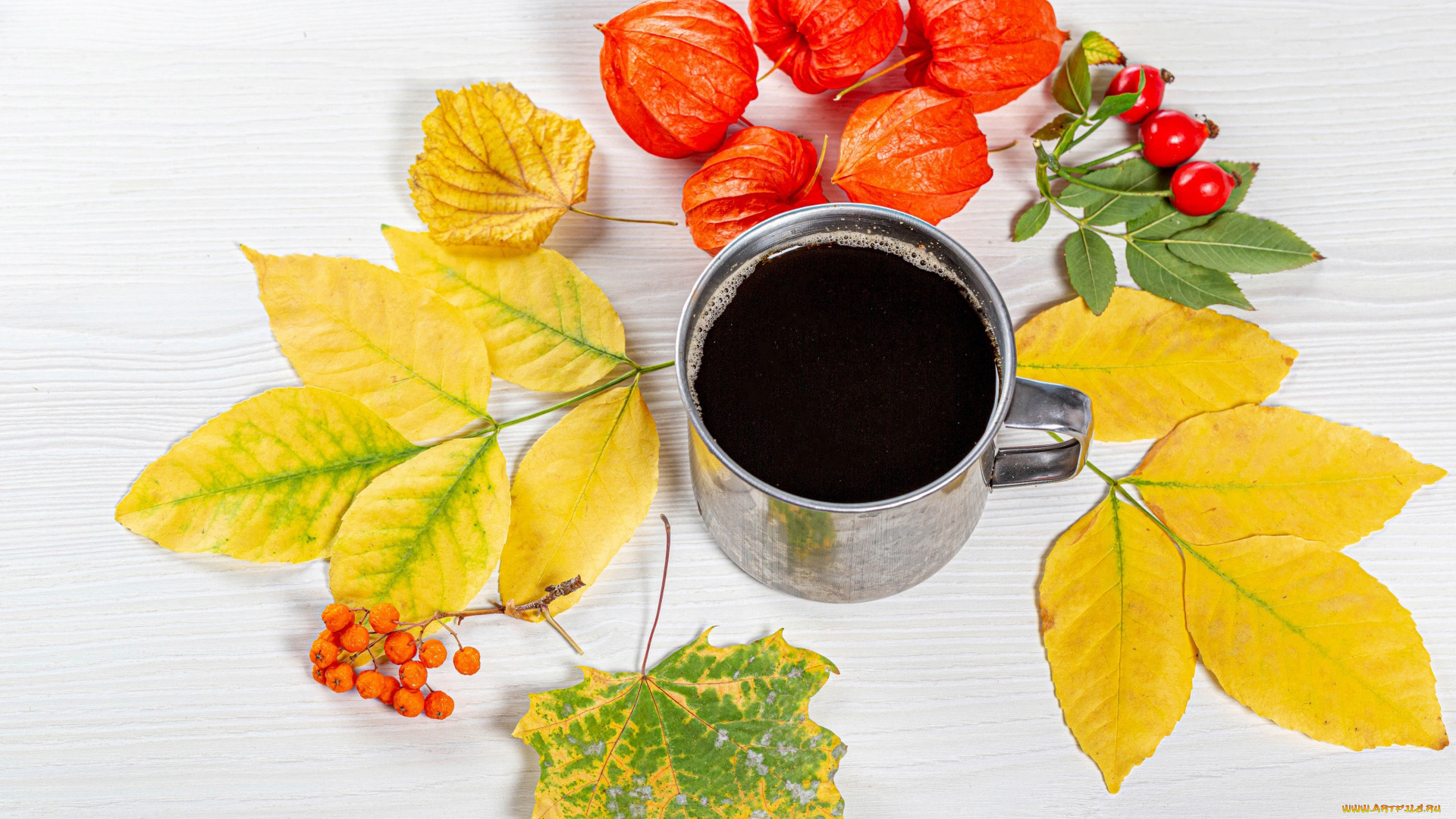 еда, кофе, , кофейные, зёрна, физалис, шиповник, листья, осень