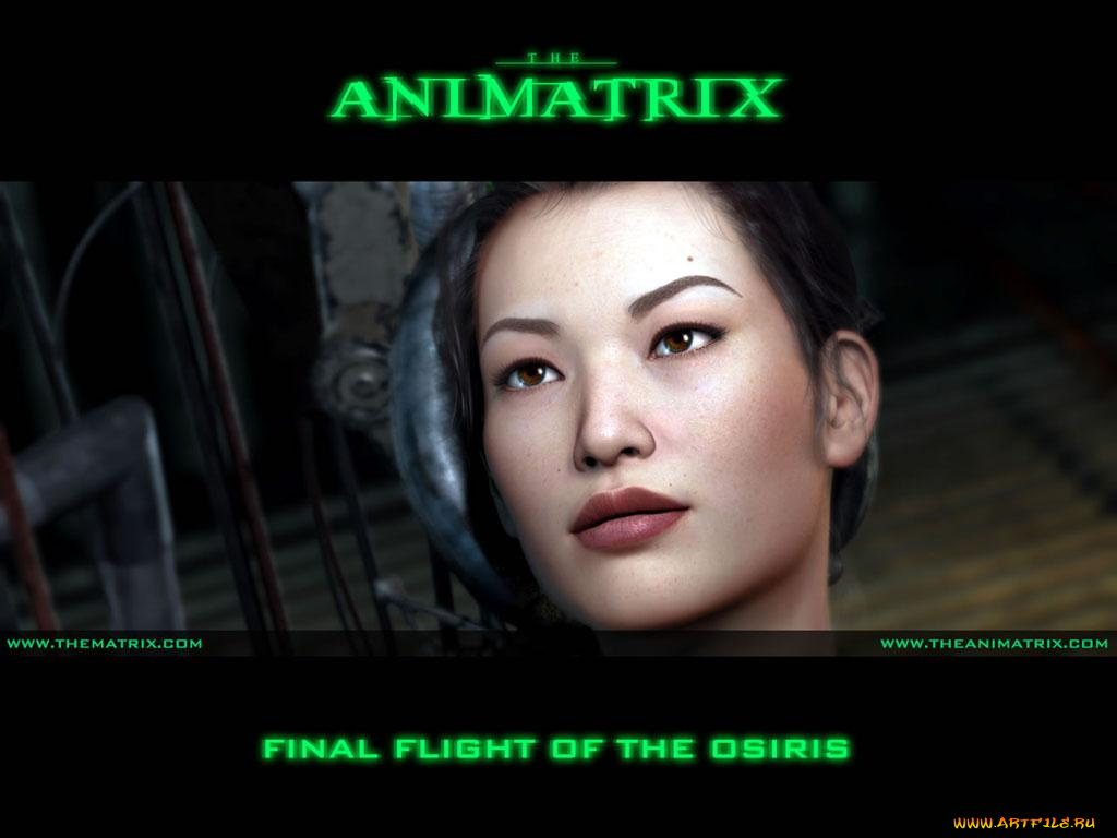 аниме, animatrix