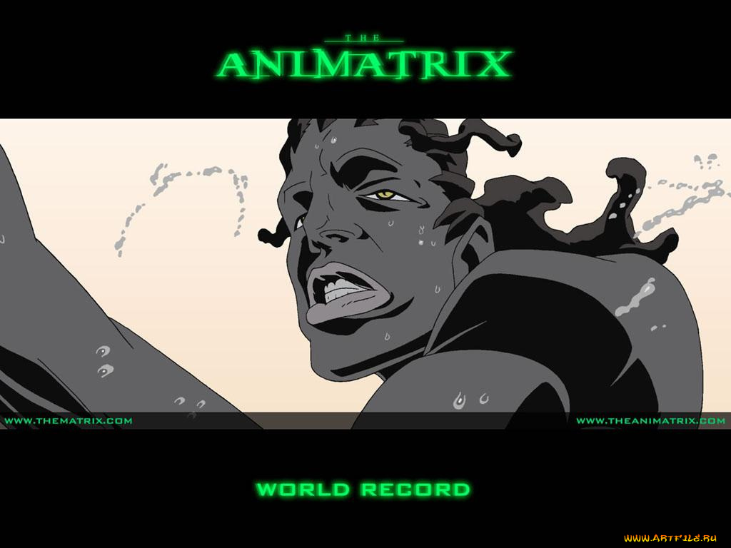 аниме, animatrix