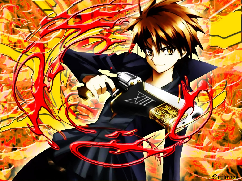 The black cat anime