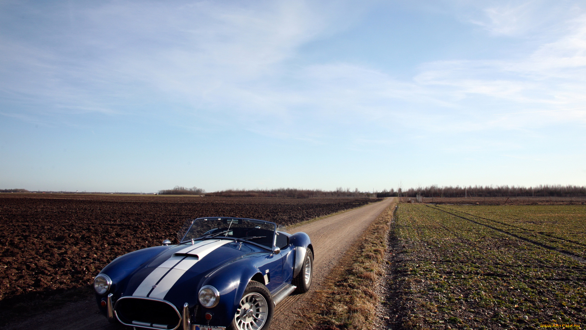 автомобили, ac, cobra, shelby