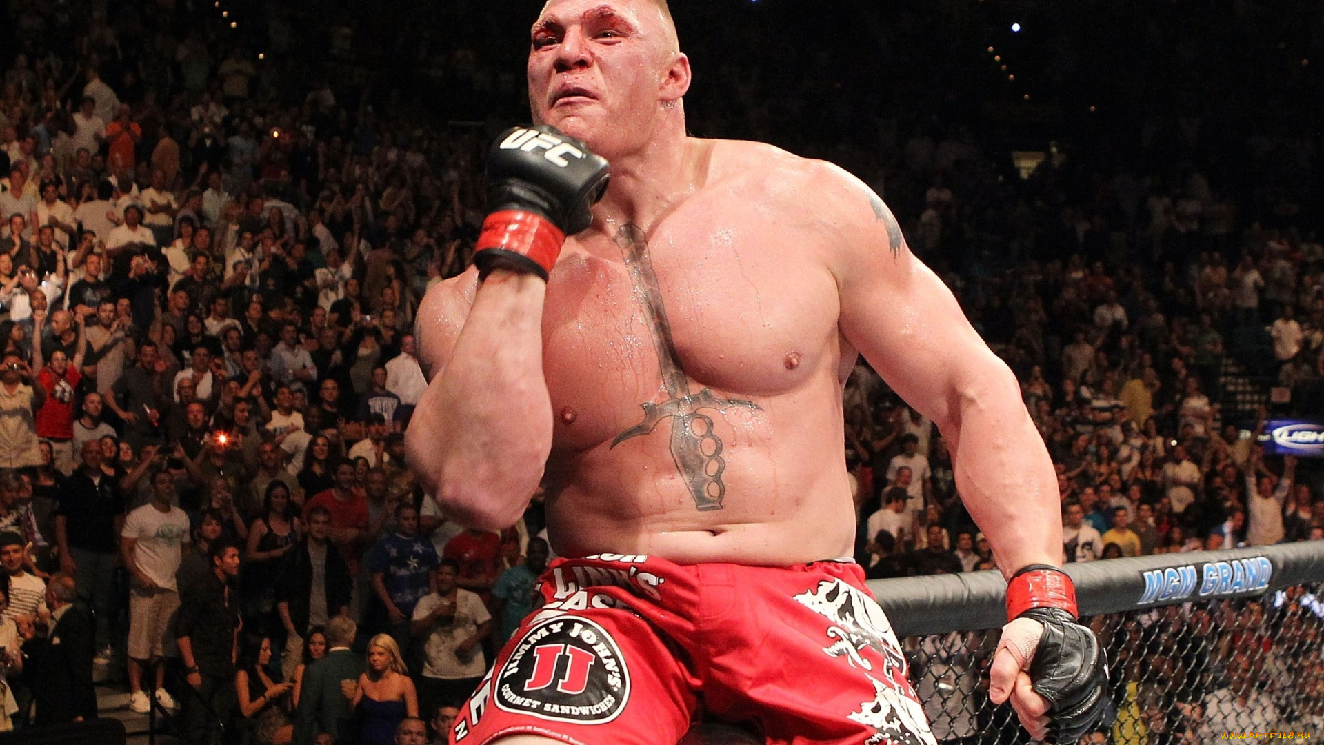 brock, lesnar, спорт, mix, fight