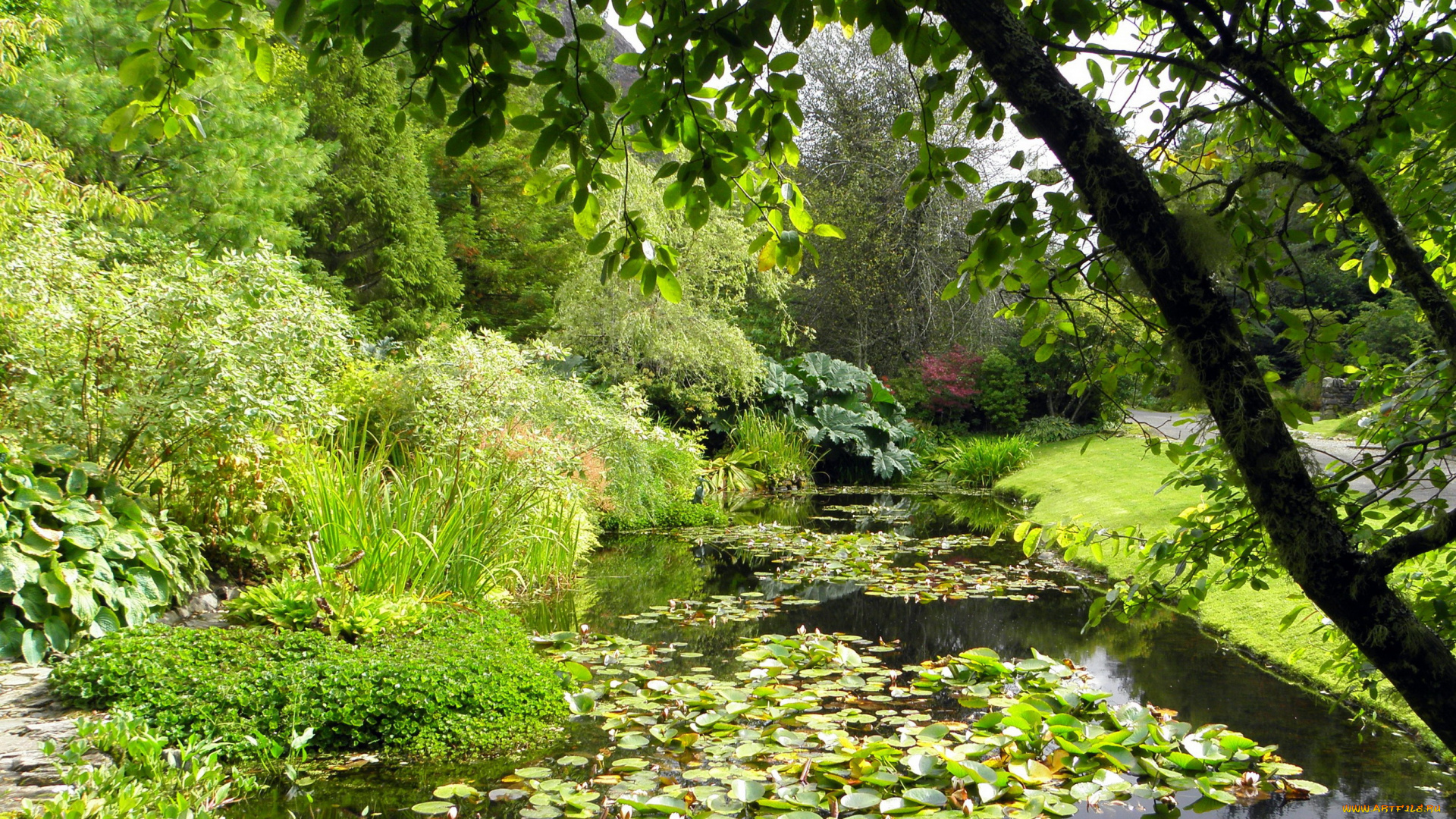 attadale, gardens, , шотландия, природа, парк, кусты, деревья, река, scotland, strathcarron, gardens, attadale
