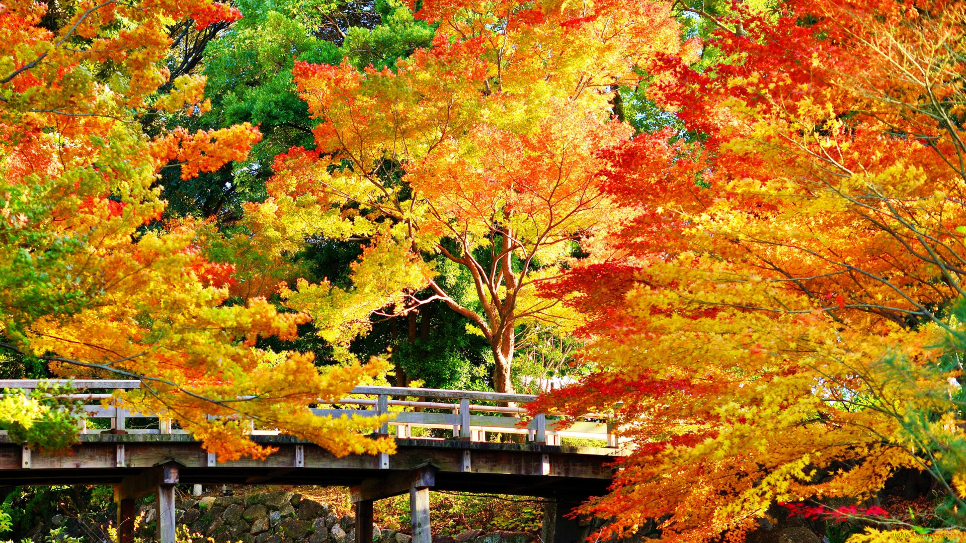 природа, парк, мост, золотистые, деревья, осень, камни, солнечно
