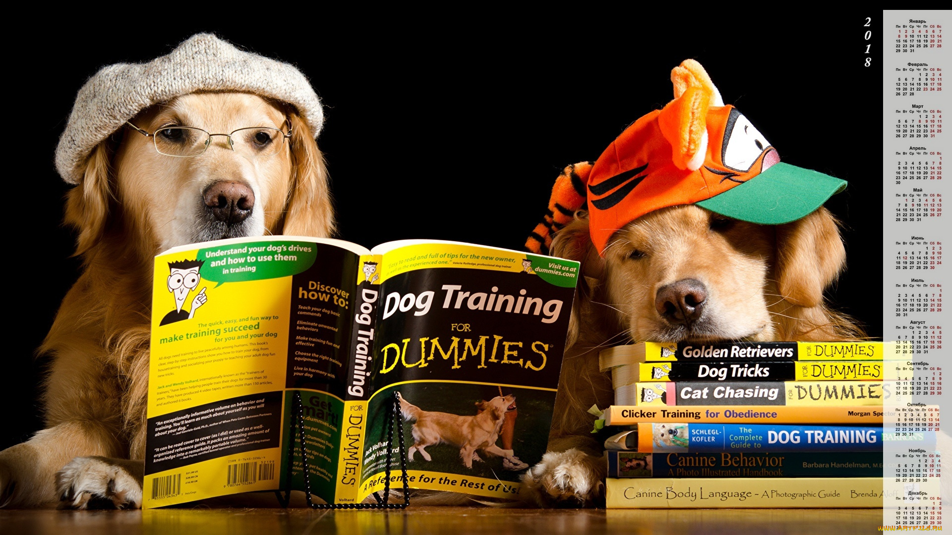 календари, животные, двое, кепка, очки, книга, собака