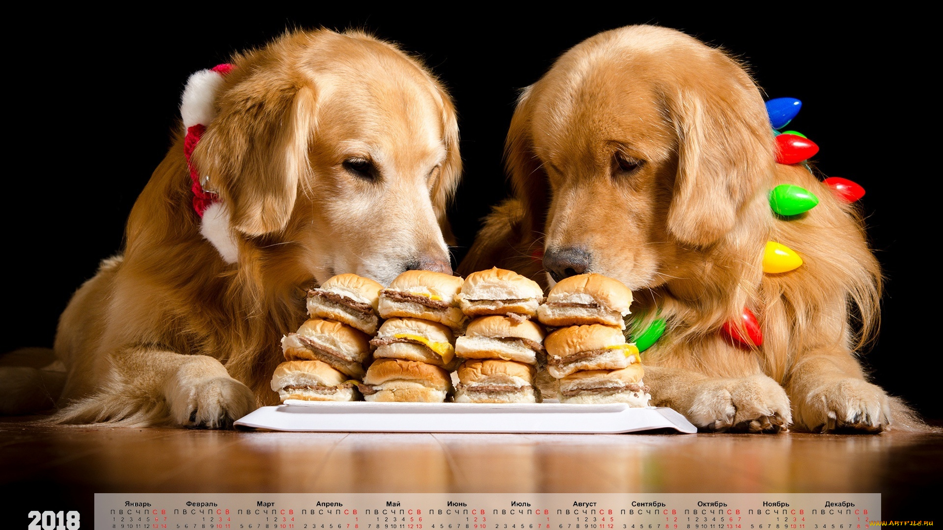 календари, животные, двое, собака, черный, фон, еда