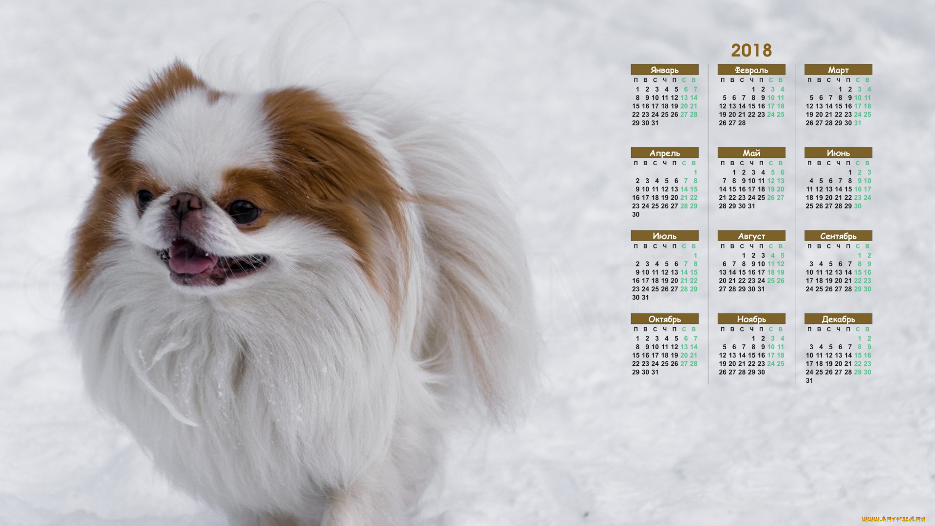 календари, животные, снег, собака