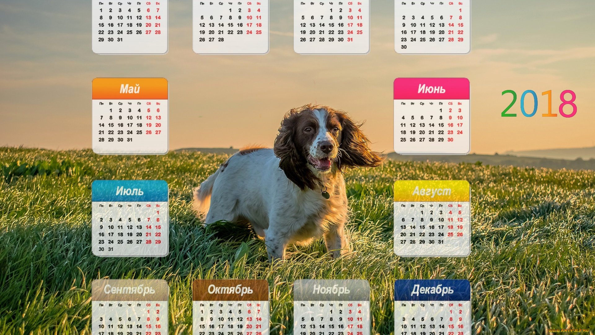 календари, животные, взгляд, собака, растения