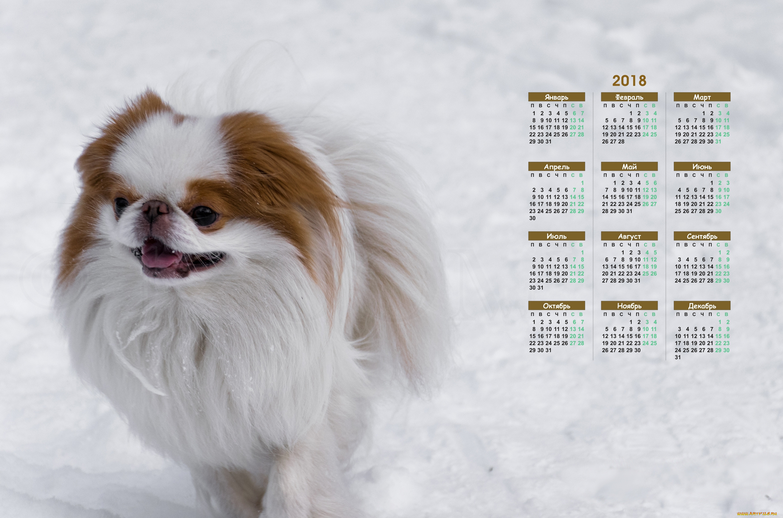 календари, животные, снег, собака