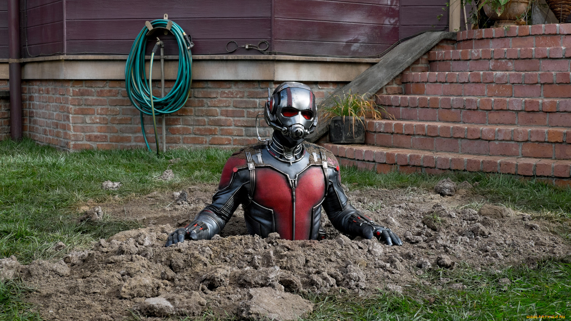 ant-man, , 201, кино, фильмы, ant-man, marvel, comics, ant, man, paul, rudd, фантастика, боевик, комедия, чeлoвeк, муравeй, пол, радд