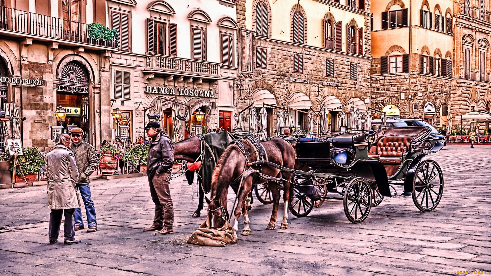 piazza, della, signoria, florence, italy, города, флоренция, италия