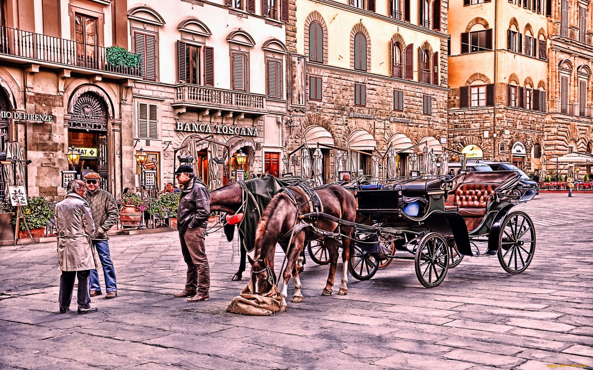 piazza, della, signoria, florence, italy, города, флоренция, италия