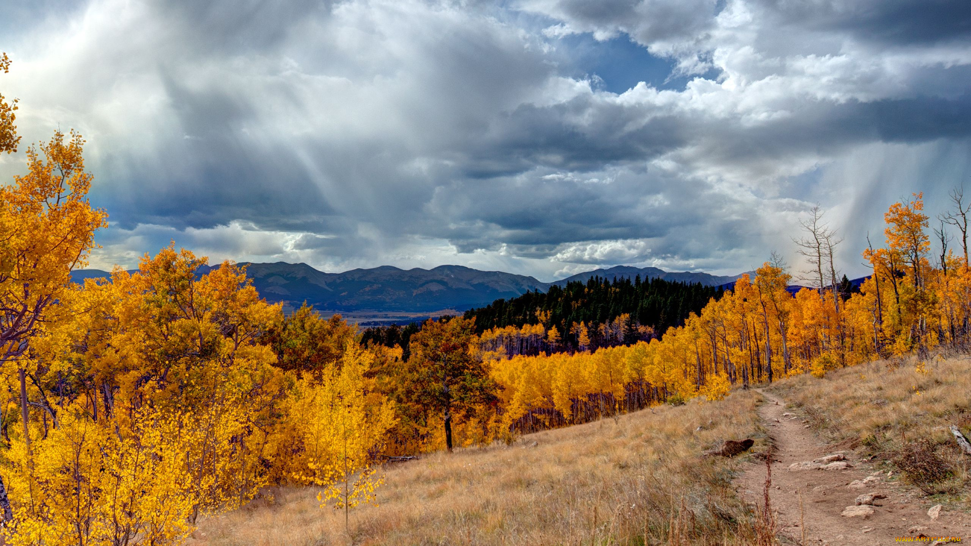 aspen, colorado, природа, пейзажи, осень, деревья, горы