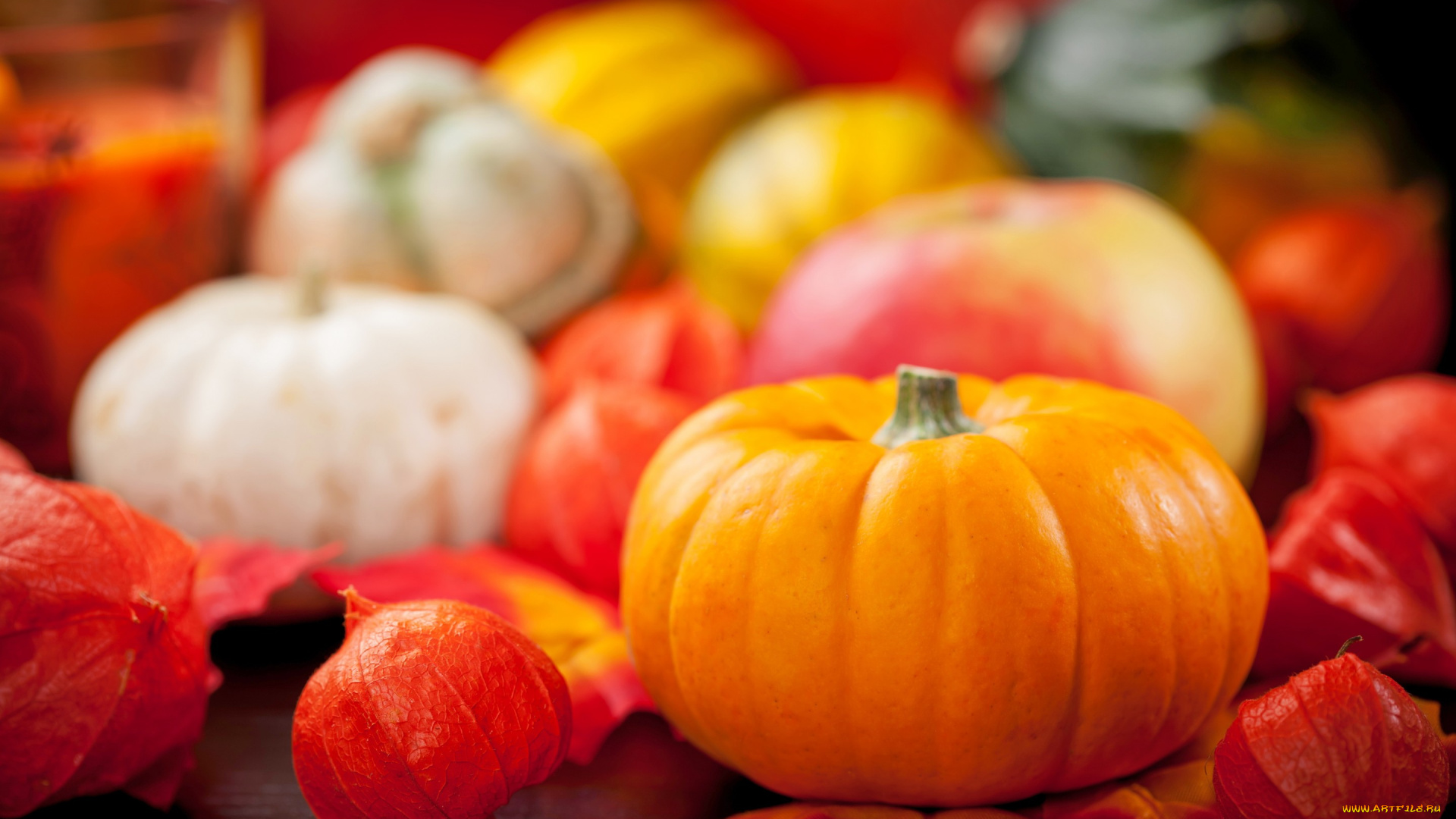 еда, тыква, still, life, vegetables, осень, урожай, овощи, autumn, harvest, pumpkin, натюрморт