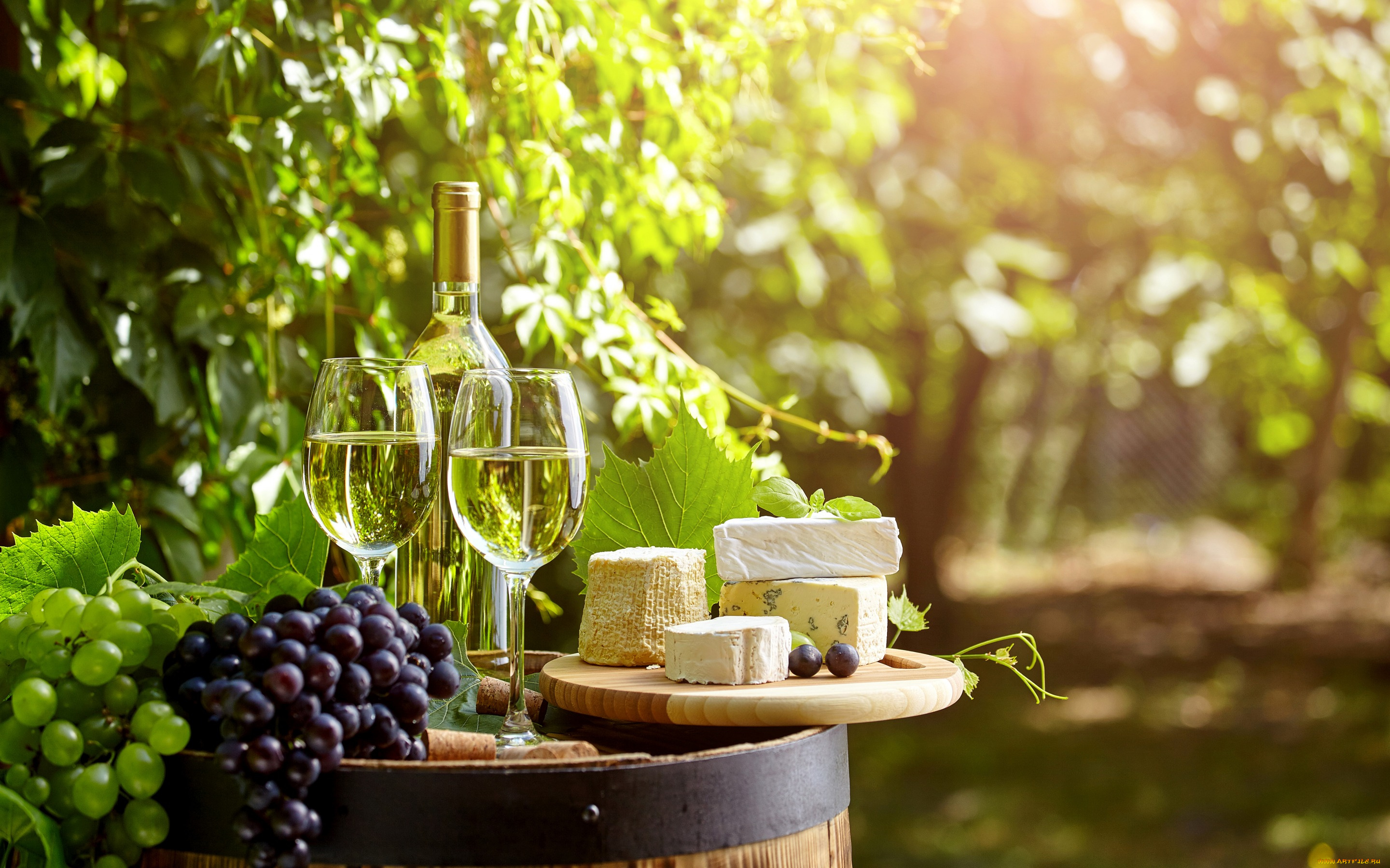 еда, напитки, , вино, виноград, вино, бокалы, бутылка, бочка, зелень, сад, сыр, пробки, боке
