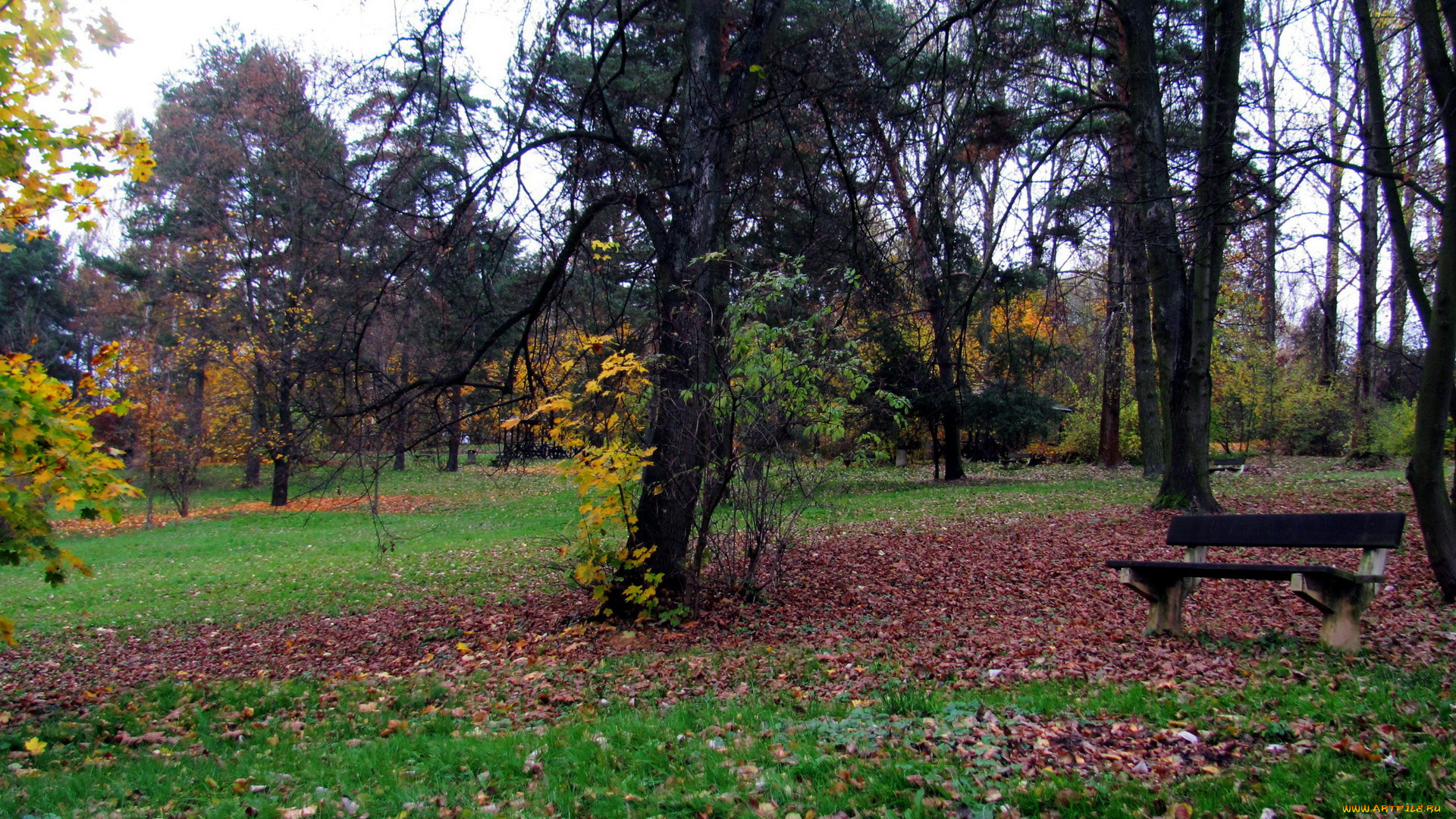 природа, парк, осень, листва, деревья, скамейка