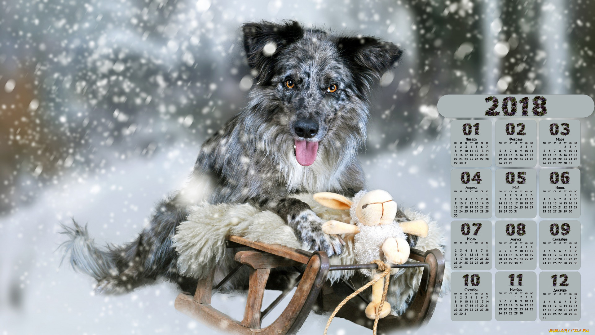 календари, животные, снег, сани, взгляд, собака, игрушка, 2018