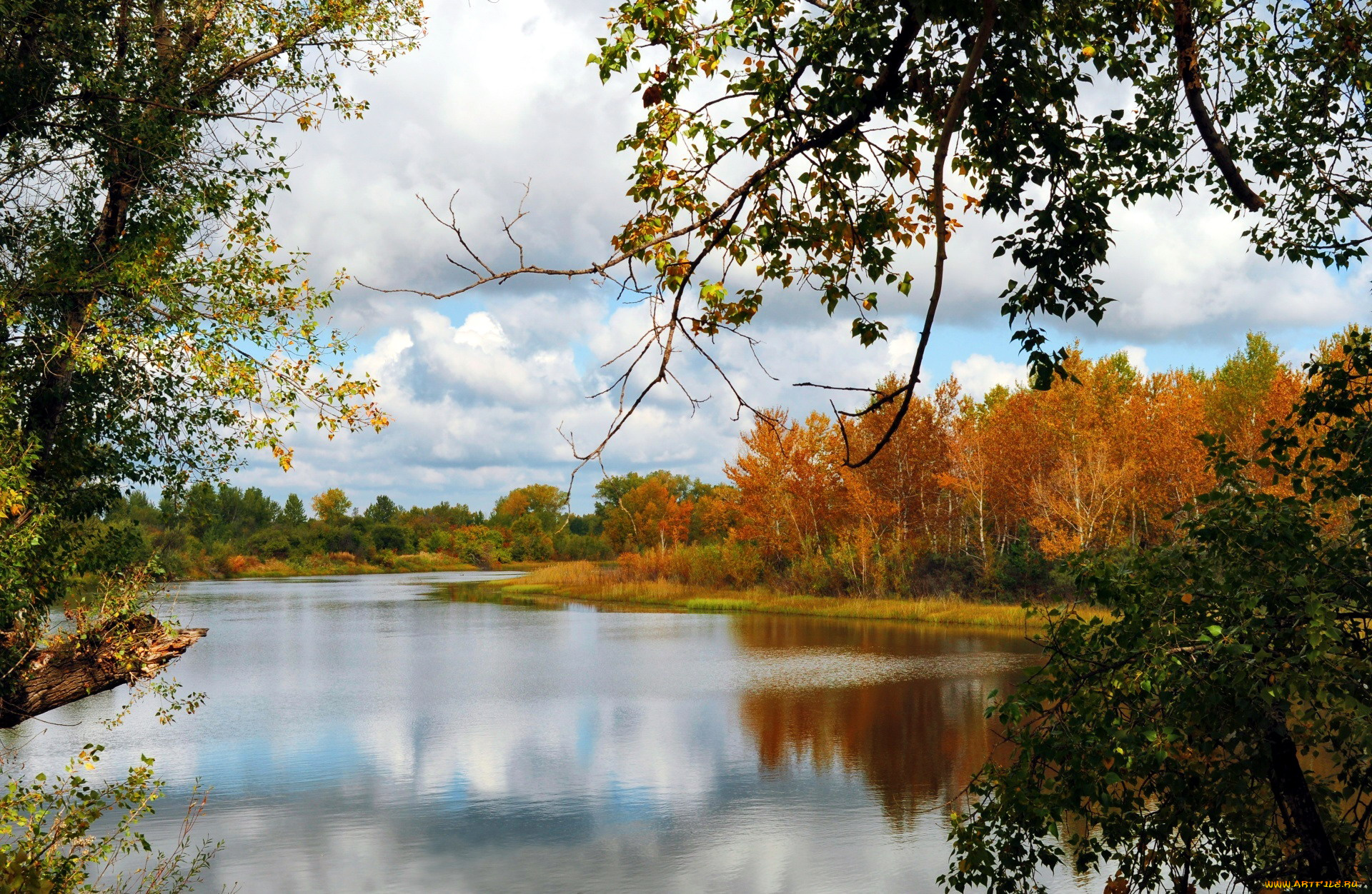 природа, реки, озера, отражение, река, осень