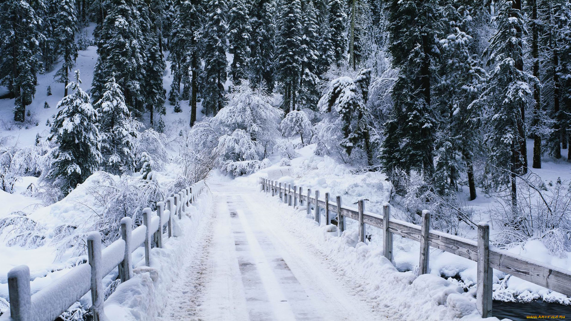 природа, зима, мост, лес, снег