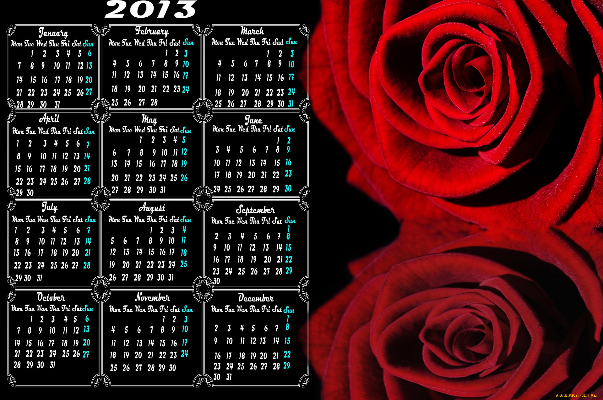 календари, цветы, розы, капли