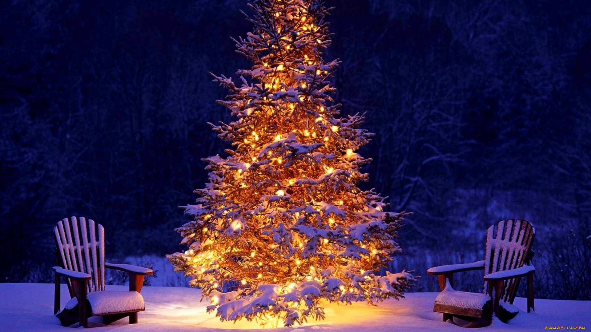 праздничные, Ёлки, кресла, огни, елка, снег, зима