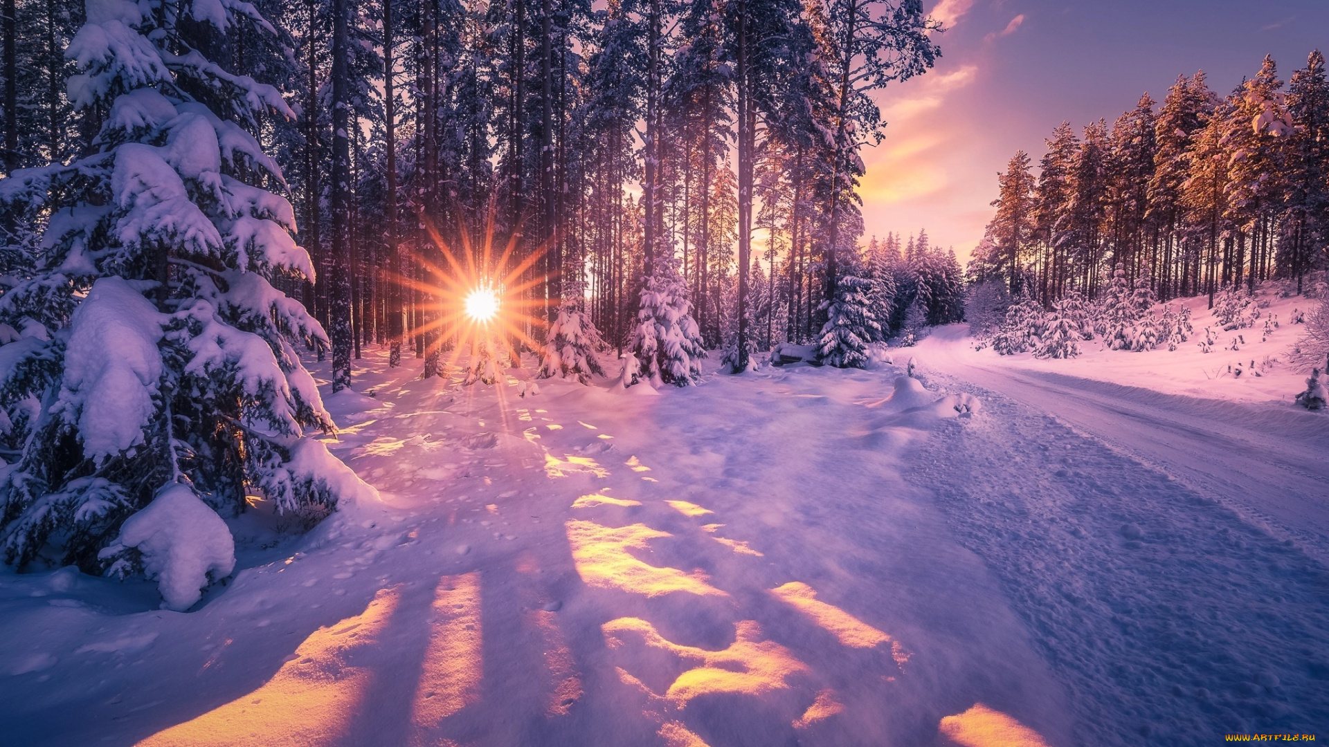 природа, зима, дорога, солнце