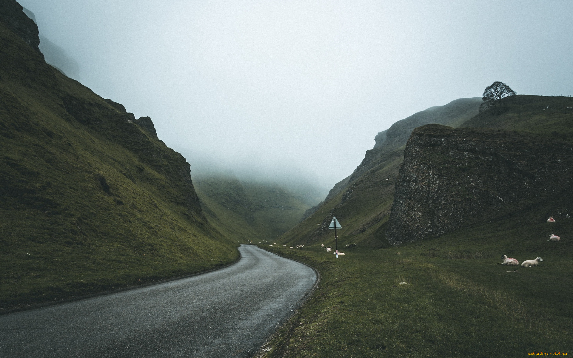 природа, дороги, шоссе, туман