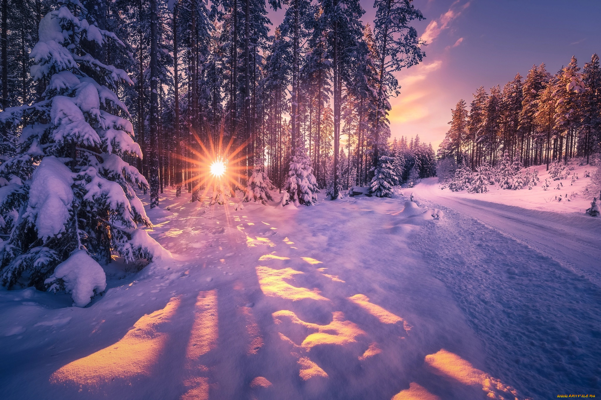 природа, зима, дорога, солнце