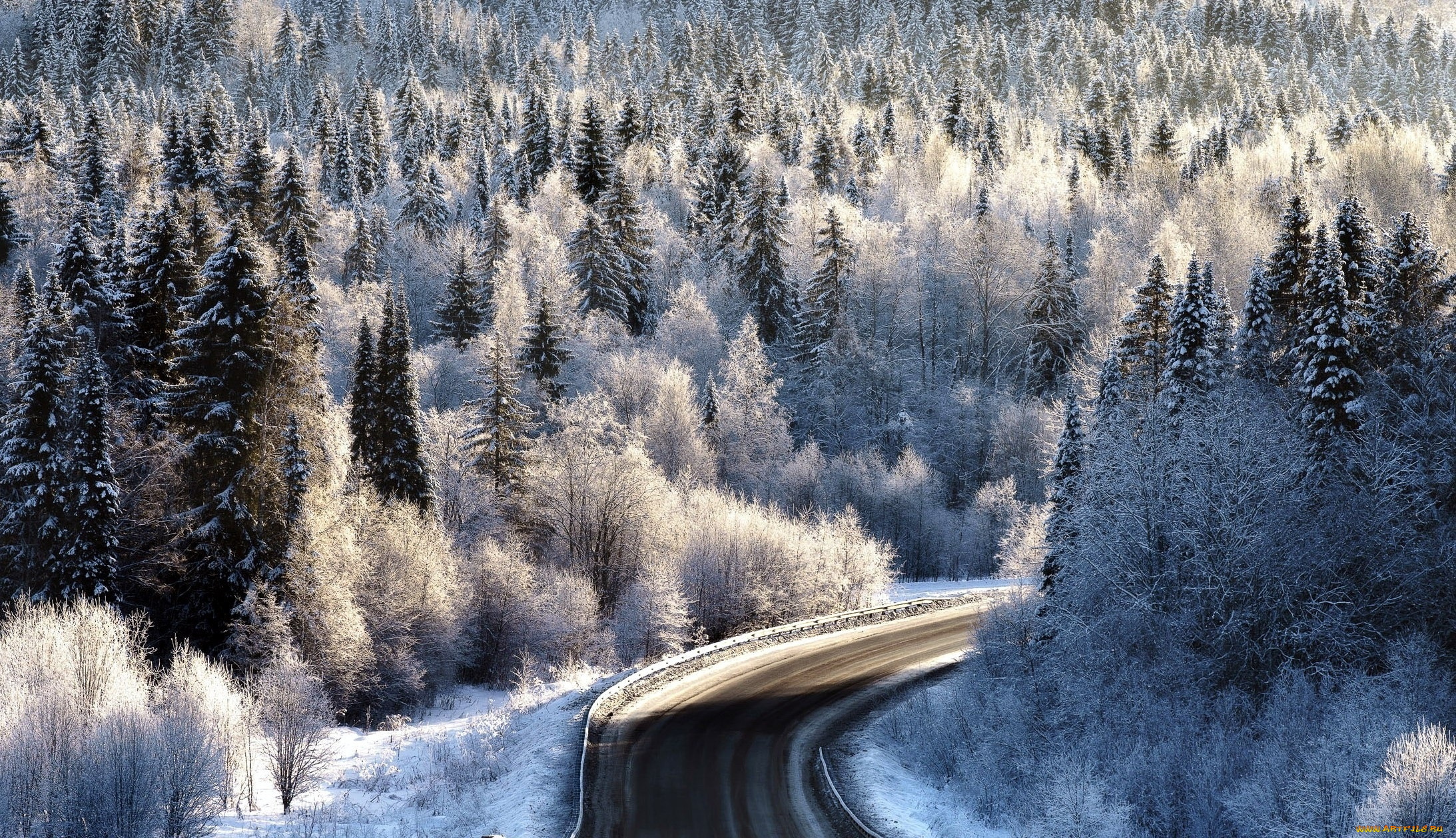природа, дороги, поворот, дорога, пейзаж, лес, деревья, зима, иней