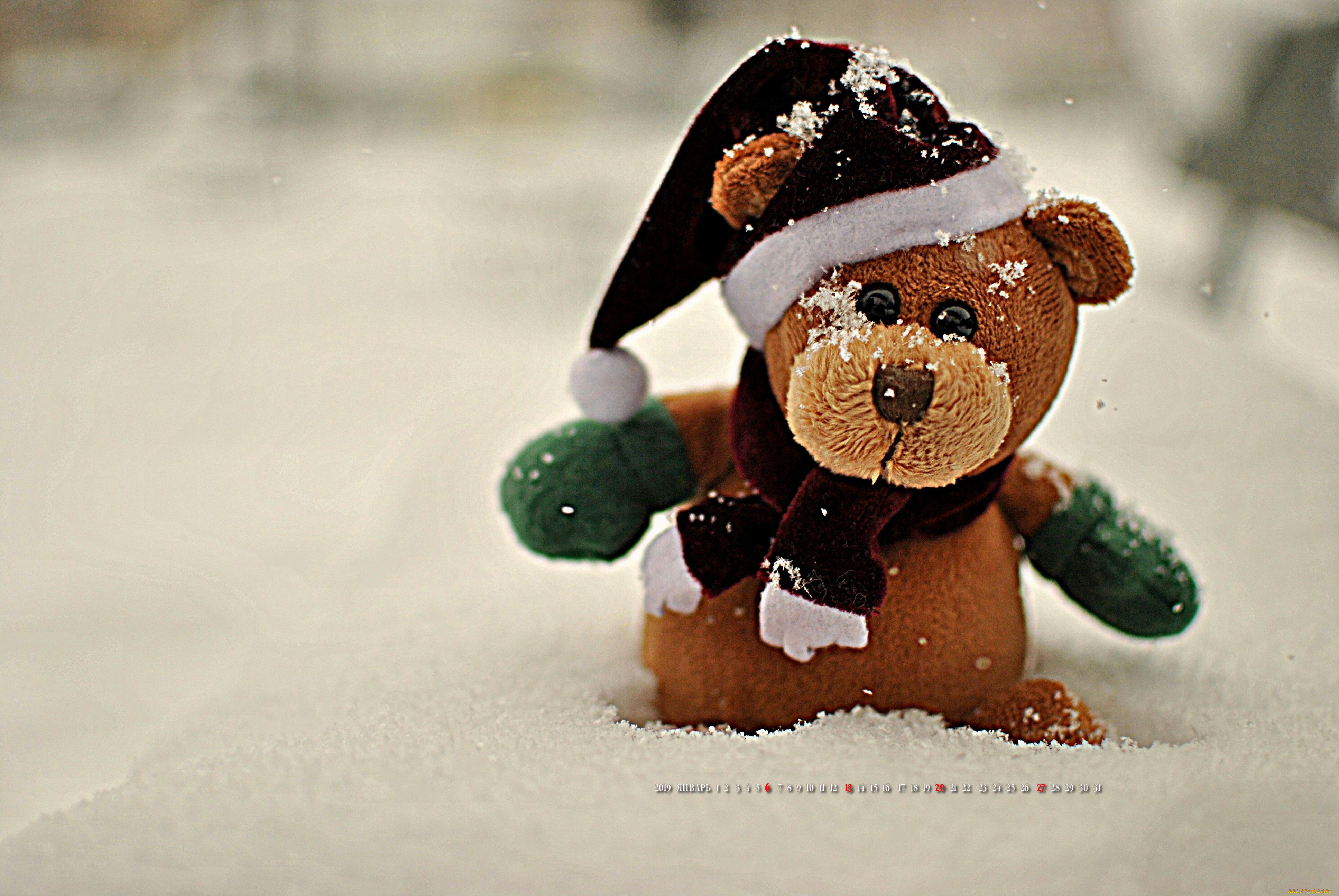 календари, праздники, , салюты, шарф, шапка, мишка, снег, игрушка, медведь